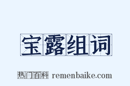 宝露组词是什么意思的图片